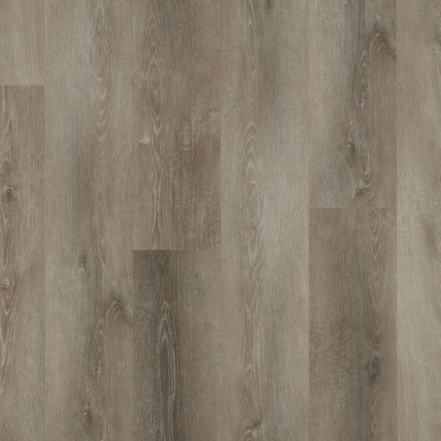 Endura Andicuri Top